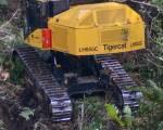 �������� ����������� ���� ����������� TigerCAT LH855E